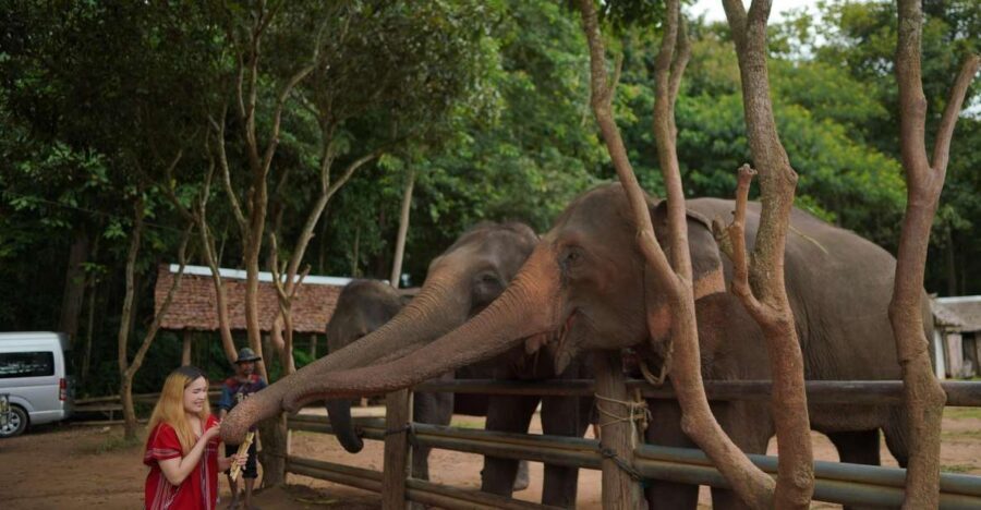 Chiang Mai: National Elephant Care, Rafting, & Ziplines Trip - Key highlights that make this day trip work