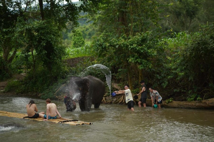 Chiang Mai: National Elephant Care, Rafting, & Ziplines Trip - Choosing: bamboo rafting on the Mae Wang River or the zipline course