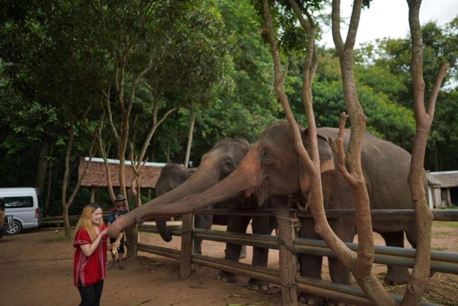 Chiang Mai: National Elephant Care, Rafting, & Ziplines Trip - Lunch by the river: the break that keeps the day from feeling rushed