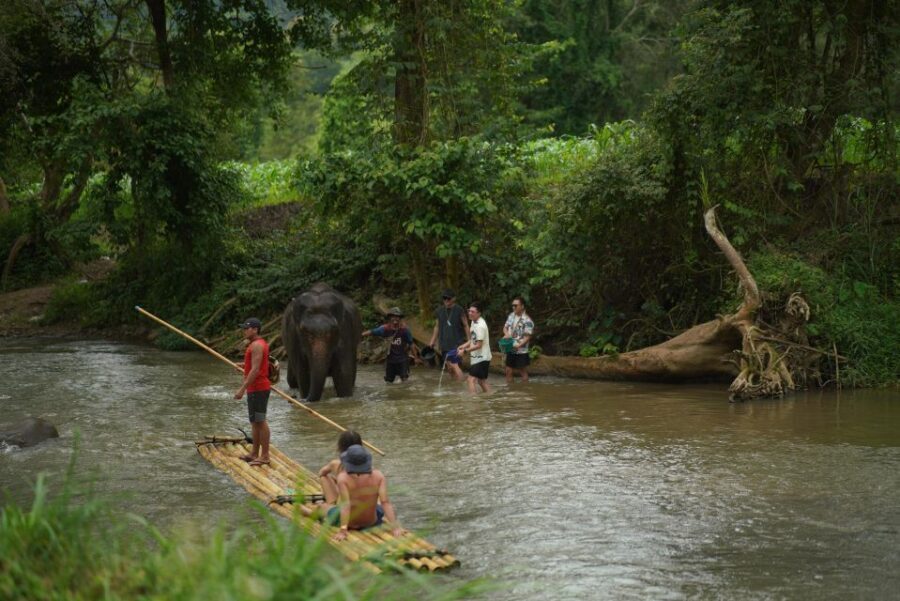 Chiang Mai: National Elephant Care, Rafting, & Ziplines Trip - Price and value: what $51 gets you in Chiang Mai