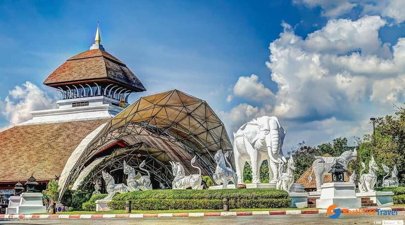 Chiang Mai Night Safari: Entry Ticket with Tram Ride - Chiang Mai Night Safari: what the evening actually looks like