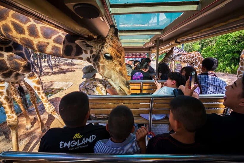 Chiang Mai Night Safari Ticket & Tram Rides Optional Pickup - Key things to know before you go