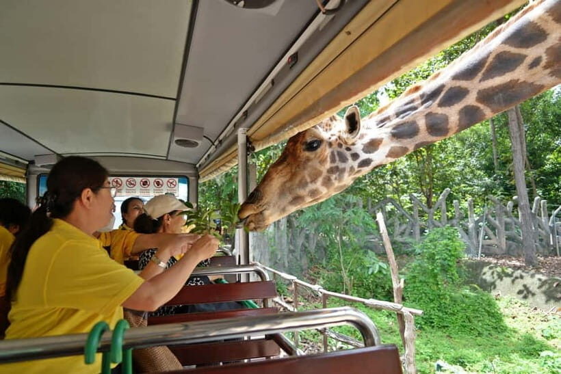 Chiang Mai Night Safari Ticket & Tram Rides Optional Pickup - Walking trails and zones: self-paced exploring on lit paths