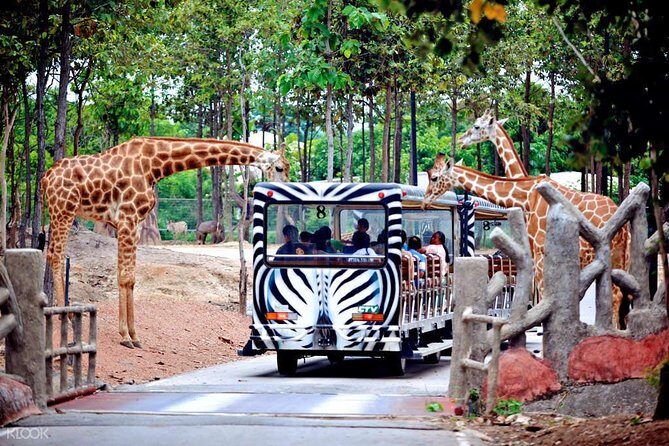 Chiang Mai Night Safari Tour including Transfer (Minimum 2 pax) - Why this Chiang Mai night safari beats wandering on your own