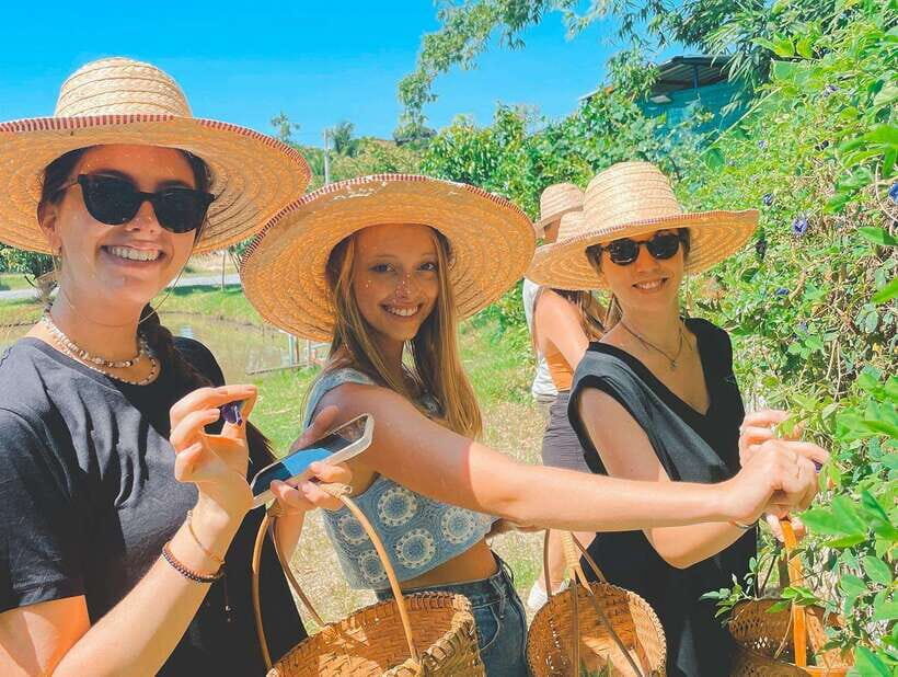 Chiang Mai Organic Thai Cooking Experience - Key points to know before you go