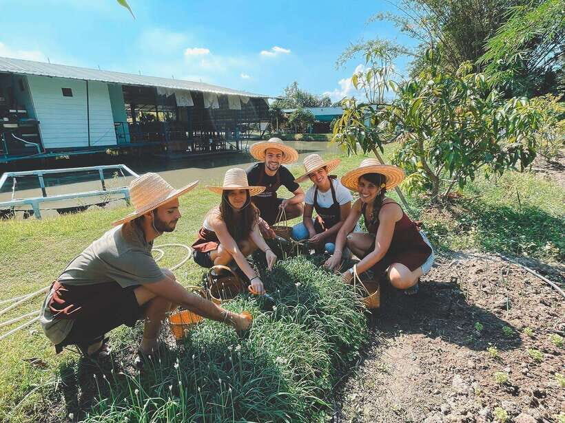 Chiang Mai Organic Thai Cooking Experience - Price and value: is $39 per person fair?