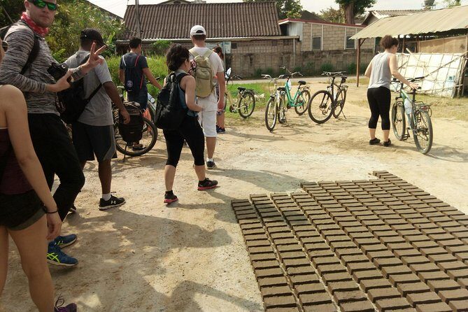 Chiang Mai Paradise Full-Day Cycling Adventure Tour - Farming Lessons on Two Wheels: Rice Paddies, Vegetable Fields, and Mushrooms