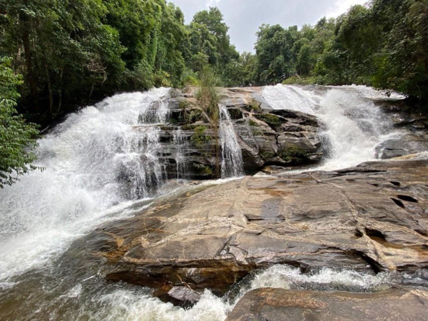 Chiang Mai: Pha Dok Siew Nature Trail & Doi Inthanon Trip - Getting There: Early Pickup and the Doi Inthanon Time Crunch