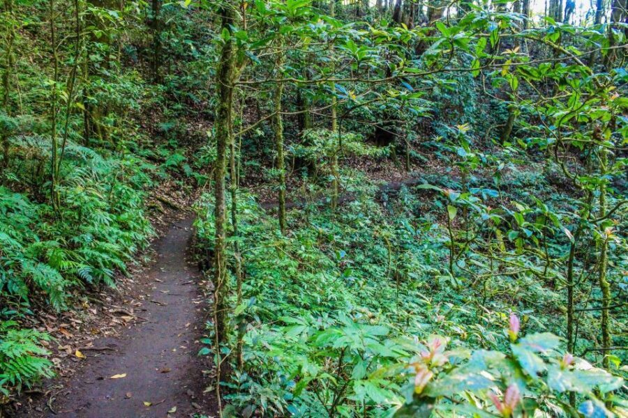Chiang Mai: Pha Dok Siew Nature Trail & Doi Inthanon Trip - The King and Queen Pagodas: Beautiful Views With a Dress Code