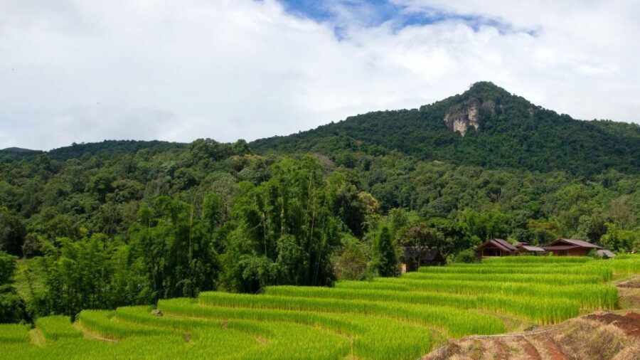 Chiang Mai: Pha Dok Siew Nature Trail & Doi Inthanon Trip - Price and Logistics: What You Pay for at $43 (and What’s Extra)