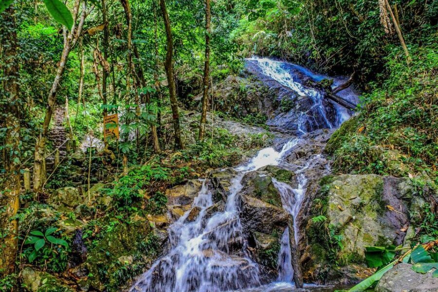Chiang Mai: Pha Dok Siew Nature Trail & Doi Inthanon Trip - Who This Tour Is Best For (and Who Should Skip It)