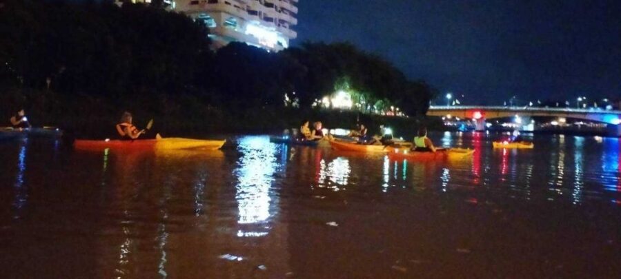 Chiang Mai: Ping River Night Kayaking into City Center - Wildlife moments and the peaceful parts you didn’t plan for