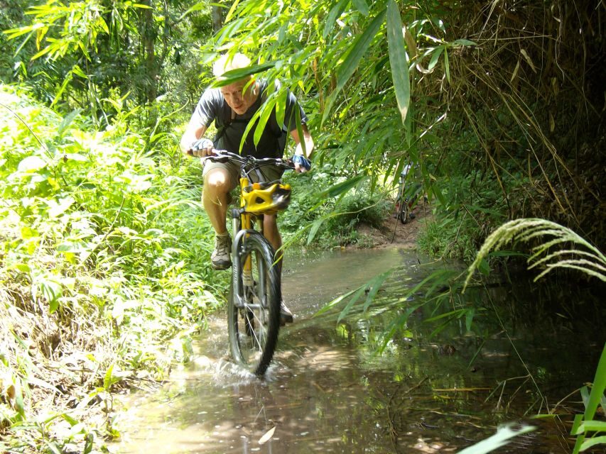 Chiang Mai: Rainforest Guided Mountain Biking Tour - Timing, transportation, and group flow: how the day stays manageable