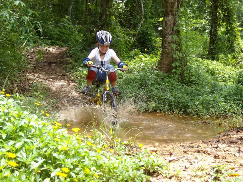 Chiang Mai: Rainforest Guided Mountain Biking Tour - Price and value: why $62 can be a bargain