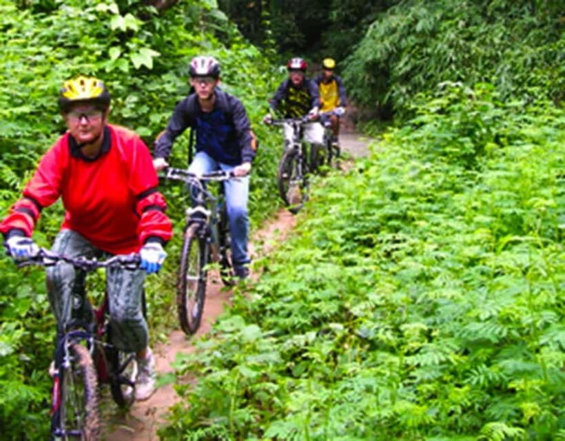 Chiang Mai: Rainforest Guided Mountain Biking Tour - Pickup, van ride, and safety briefing: getting set up the right way