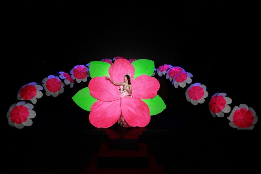Chiang Mai: Siam Dragon Cabaret Show with Optional Transfer - Key things to know before you go