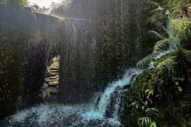 Chiang Mai Sticky Waterfall Dantewada and Banden Temple Tour - Price and value: what you’re really buying for about $59.83