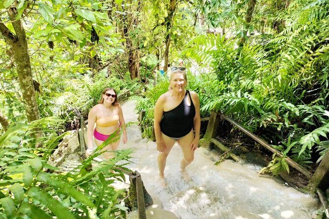 Chiang Mai Sticky Waterfall Dantewada and Banden Temple Tour - Your guide experience: Alex keeps the day moving without rushing