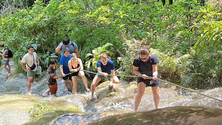 Chiang Mai : Sticky waterfall (Half Day Tour) Hotel Transfer - Half-Day Schedule: Morning vs Afternoon Timing