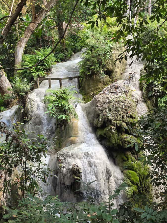 Chiang Mai : Sticky waterfall (Half Day Tour) Hotel Transfer - Provider, Language, and Practical Expectations