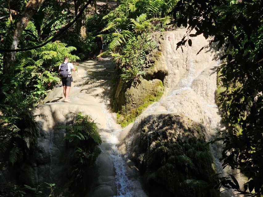 Chiang Mai: Sticky Waterfall Half-Day Tour & Hotel Transfers - Quick hits before you go