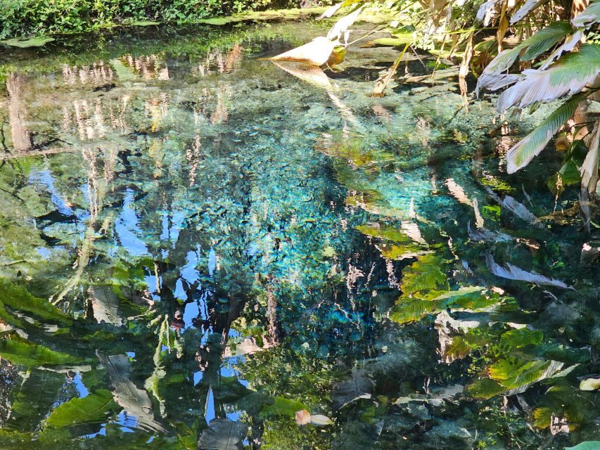 Chiang Mai: Sticky Waterfall Half-Day Tour & Hotel Transfers - Should you book the Chiang Mai Sticky Waterfall half-day tour?