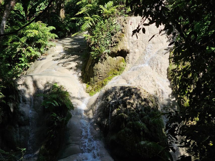 Chiang Mai: Sticky Waterfall Half-Day Tour & Hotel Transfers - How the half-day timing actually feels in Chiang Mai