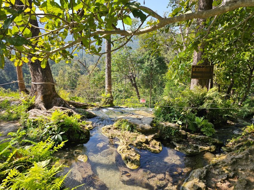 Chiang Mai: Sticky Waterfall Half-Day Tour & Hotel Transfers - Si Lanna National Park: a small nature walk with real wildlife chances