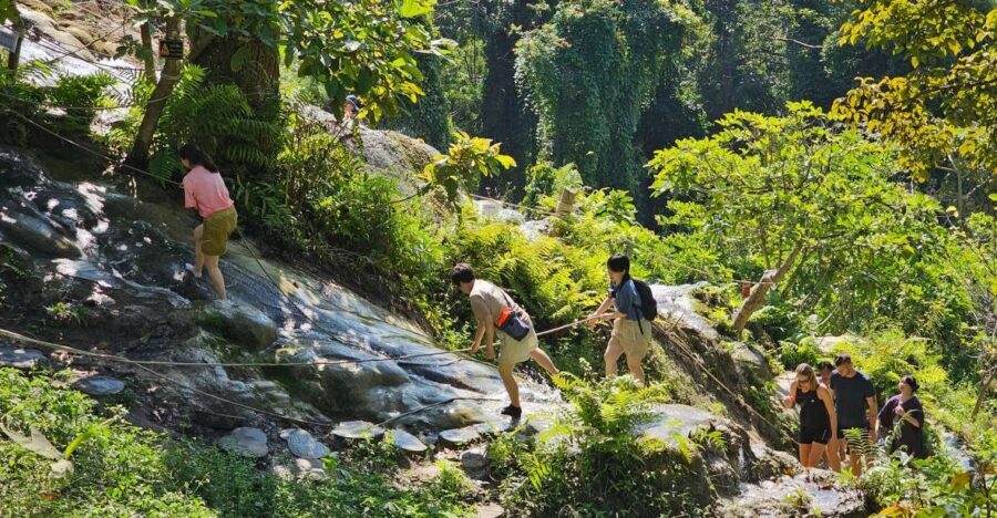 Chiang Mai: Sticky Waterfall Half-Day Tour & Hotel Transfers - Bua Thong Sticky Waterfall: what self-guided climbing is like