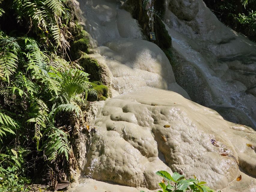 Chiang Mai: Sticky Waterfall Half-Day Tour & Hotel Transfers - The top views, shade breaks, and the spring pool option