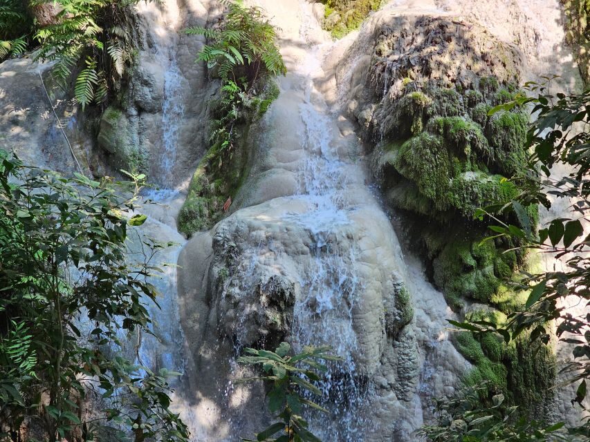 Chiang Mai: Sticky Waterfall Half-Day Tour & Hotel Transfers - What to pack and wear for a sticky, wet day