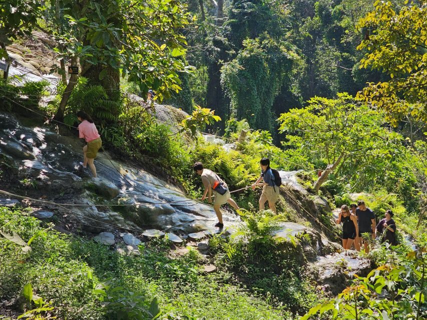 Chiang Mai: Sticky Waterfall Half-Day Tour & Hotel Transfers - Price and value: is $30 a good deal for this kind of outing?