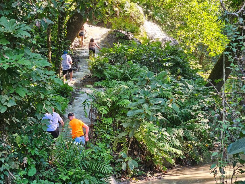 Chiang Mai: Sticky Waterfall Half-Day Tour & Hotel Transfers - Who should book this waterfall tour (and who should skip it)
