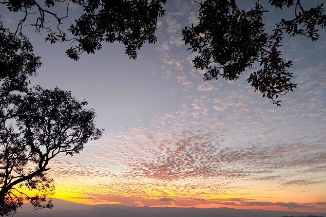 Chiang Mai Sunset Point, Wat Pha Lat, Wat Doi Suthep, Wat Umong - Price and value: what $66 buys (and why it can be fair)