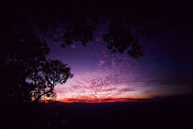 Chiang Mai Sunset Point, Wat Pha Lat, Wat Doi Suthep, Wat Umong - What you’ll get from the English-speaking guide (beyond basic explanations)