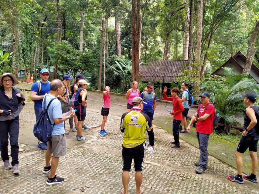Chiang Mai: Suthep National Park Hiking & DH Mountain Biking - Key highlights worth knowing before you go