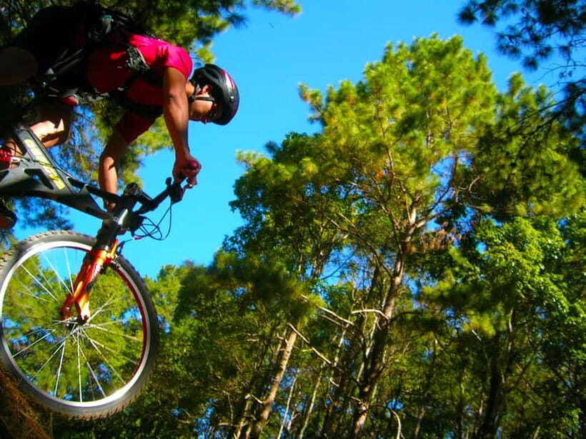 Chiang Mai: Suthep National Park Hiking & DH Mountain Biking - Entering the Doi Pui world: why this ride beats a normal tour
