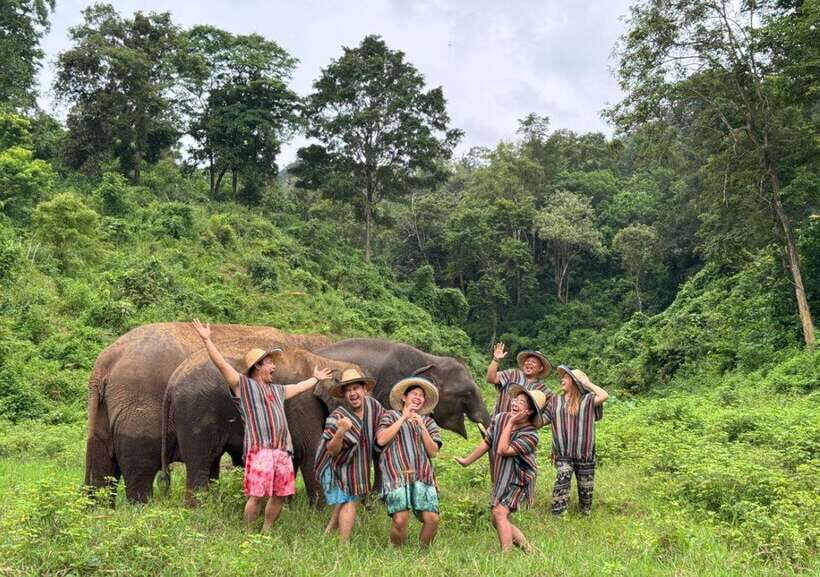 Chiang Mai | TeeTee Elephant Home Elephant Care Half-Day - Key things to know before you go