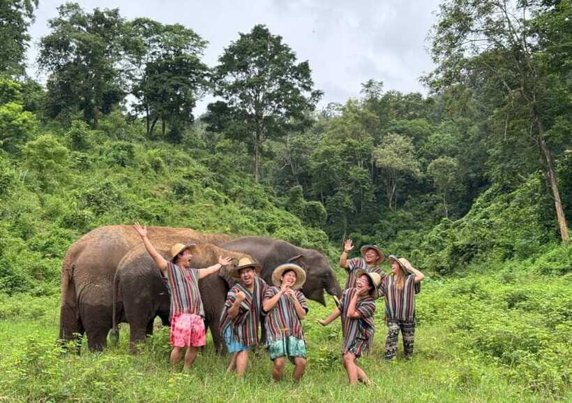 Chiang Mai | TeeTee Elephant Home Elephant Care Half-Day - Wildlife Viewing Near the River and Mountains