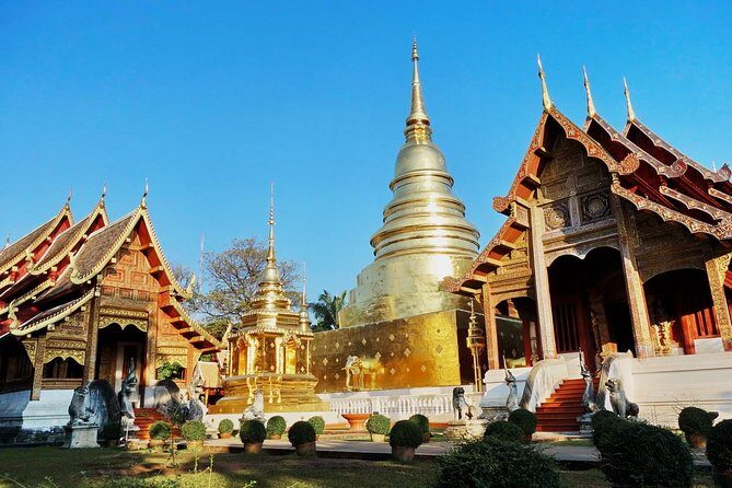 Chiang Mai Temples & City - Price and value: $122.06 for a full circuit of guided temple time