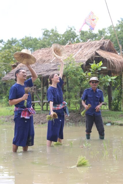 Chiang Mai: Thai Buffalo and Rice Planting Experience - FAQ