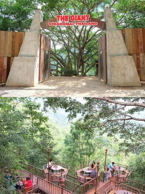 Chiang Mai: The Giant Café & Mae Kampong Village Day Trip - Simple tips to make your day smoother