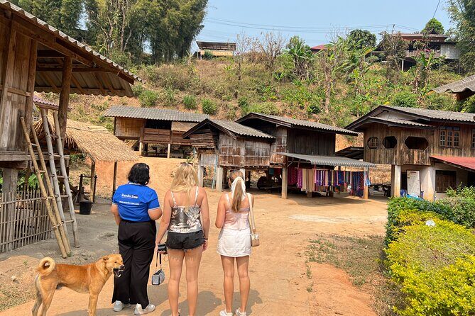 Chiang Mai to Doi Inthanon Full Day Shared Tour - Why Doi Inthanon feels like a different Thailand
