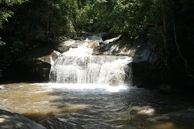 Chiang Mai Trekking Tour :Full day (no rafting) - Key highlights worth knowing
