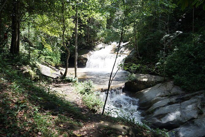 Chiang Mai Trekking Tour :Full day (no rafting) - Elephant Pride Sanctuary: the real focus is care, feeding, and learning