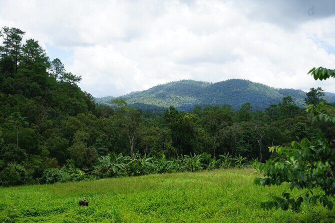 Chiang Mai Trekking Tour :Full day (no rafting) - Your morning logistics: pickup, timing, and why the bus ride counts
