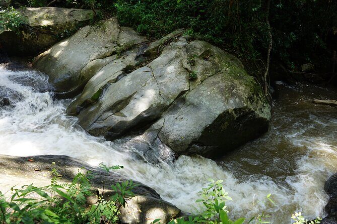 Chiang Mai Trekking Tour :Full day (no rafting) - What to bring (and what to skip) for a wet jungle day