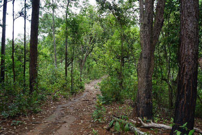 Chiang Mai Trekking Tour :Full day (no rafting) - Who this tour suits best (and who might prefer a different day)