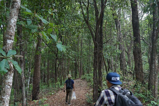 Chiang Mai Trekking Tour :Full day (no rafting) - The trekking portion: what the day feels like on the trail