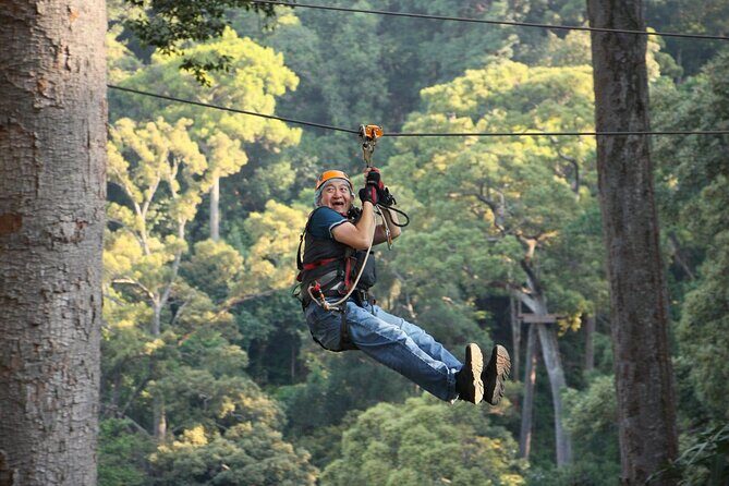 Chiang Mai Zip Line Experience - The Snacks and Drinks: Small, Smart, and Actually Helpful
